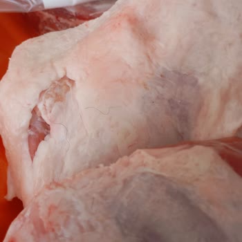 Köfteci Yusuf Esenyurt Şubesinde Hijyen Sorunu Ve İade Talebi