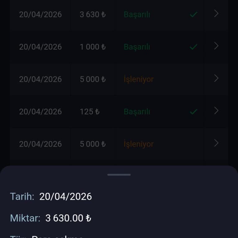 Sea Star Casino  Sitesinde Yatırdığım Para ve Kazancım Bankamda Görünmüyor