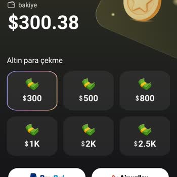 Türkiye’de PayPal Olmadan 300 Dolar Kazancımı Çekemiyorum