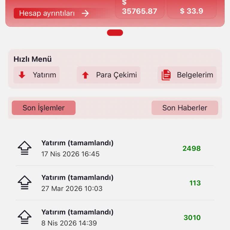 İzinsiz 10 Dolar Çekimi Ve Hesabın Negatif Durumu