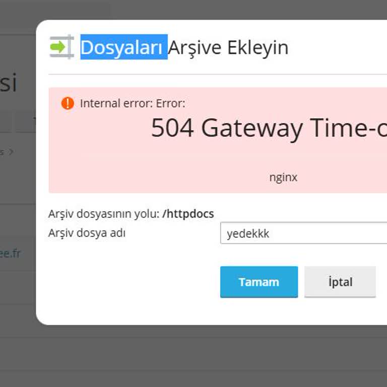 isimtescil.net'ten Yenilenen Hosting Paketi Sonrası Kesintili FTP Ve Desteksiz Hizmet