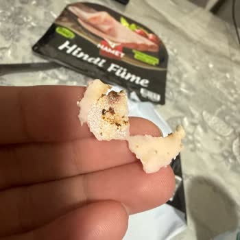 Namet Hindi Fümede Kurt Bulunması Hijyen Ve Güven Sorunu