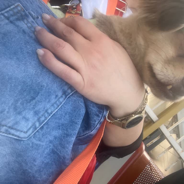 Hilal İstasyonunda Güvenlik Görevlisinin Saygısız Üslubu Ve Köpek Girişi Reddi