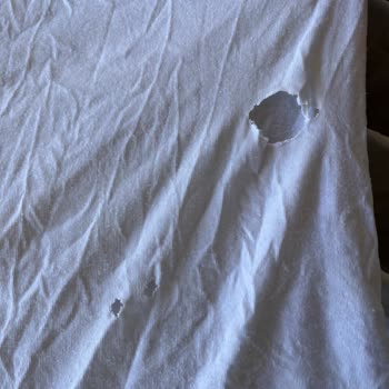 Bosch Çamaşır Makinesinde Sürekli Leke Ve Yırtılma, Acil Tamir Ve Değişim Talebi