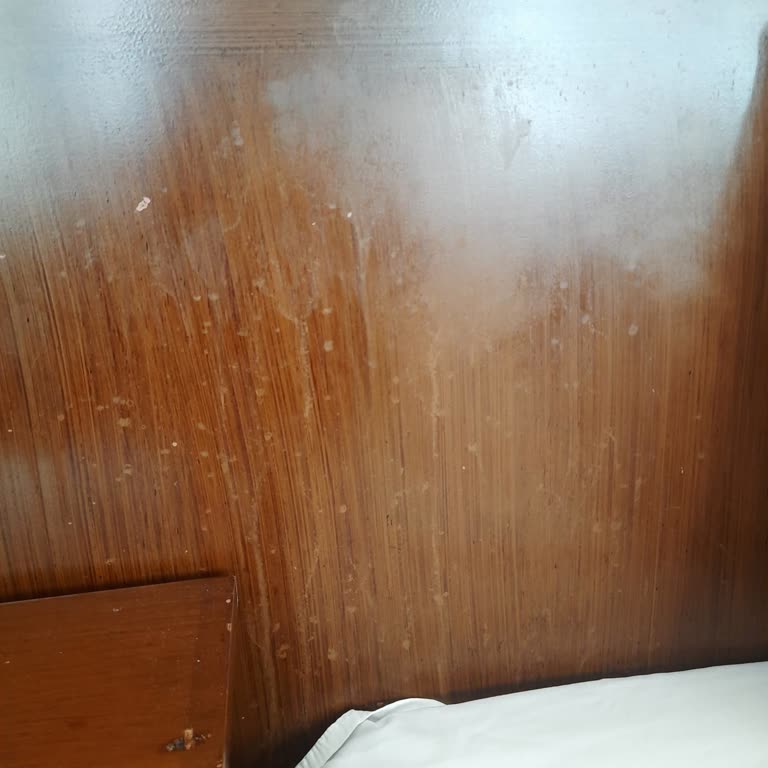 White Pearl Otelinde Hijyen Sorunu, Oda Değişikliği Reddedildi Ve Ücret İadesi Reddedildi