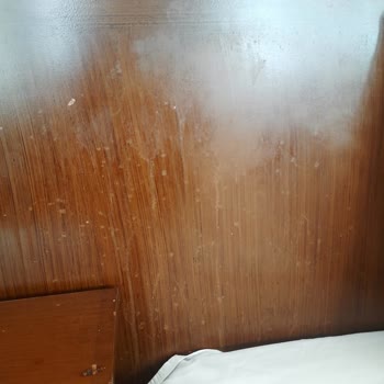 White Pearl Otelinde Hijyen Sorunu, Oda Değişikliği Reddedildi Ve Ücret İadesi Reddedildi