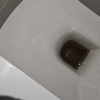 TOKİ'de 5 Yıllık Gecikme Ve Kullanılmış Daire Teslimi