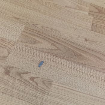 Robot Süpürge Kir Bırakıyor, Garanti Servisi Sorunu Çözmüyor