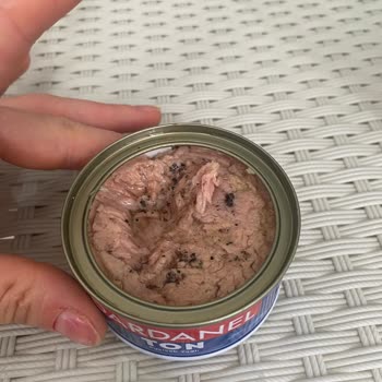 Ton Balığında Siyah Yabancı Maddeler Bulunması Gıda Güvenliği Endişesi