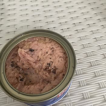 Ton Balığında Siyah Yabancı Maddeler Bulunması Gıda Güvenliği Endişesi