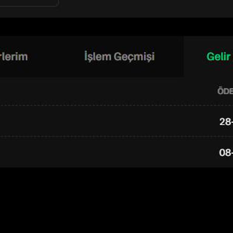 Parca.io Platformunda 20.000 TL Yatırımım Donduruldu, Müşteri Hizmetleri Cevapsız
