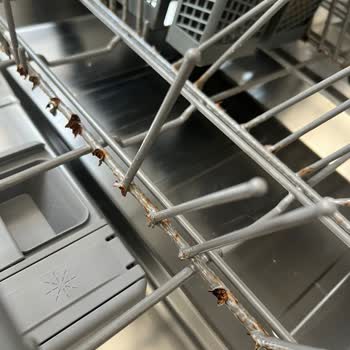 Samsung Bulaşık Makinesinde Sepet Paslanması Ve Ücretsiz Değişim İsteği