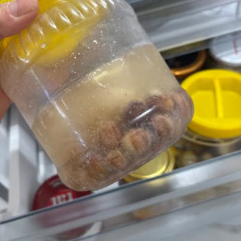 Tekrarlayan Buzdolabı Arızası Anneannemin Sağlığını Tehlikeye Atıyor Ve Siemens Çözüm Sunmuyor