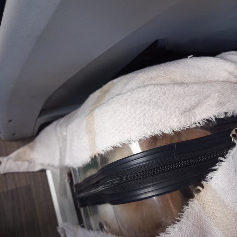 Otobüste Kedimin Havalandırmasız Bagaja Konulması Ve Personelin Saygısız Tutumu