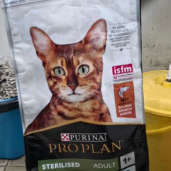 N11’de Sahte Kedi Maması Ve Geri Gönderim Sorunu