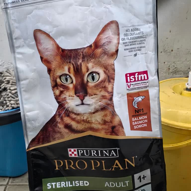 N11’de Sahte Kedi Maması Ve Geri Gönderim Sorunu