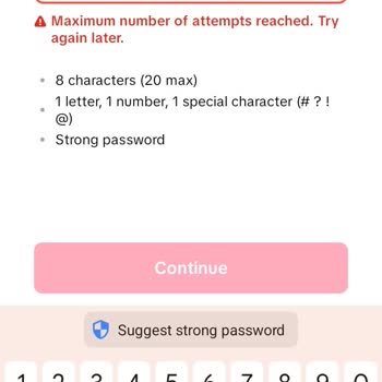 TikTok Account Password Reset Issue
