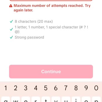 TikTok Account Password Reset Issue