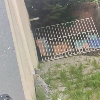 Gebze Belediyesi Bina Kolon Hasarı