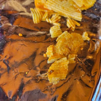 Migros Cipsinde Canlı Böcek: Gıda Güvenliği Şikayeti