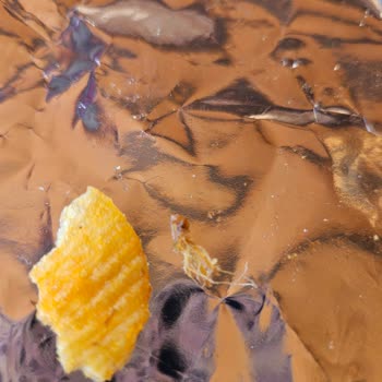 Migros Cipsinde Canlı Böcek: Gıda Güvenliği Şikayeti