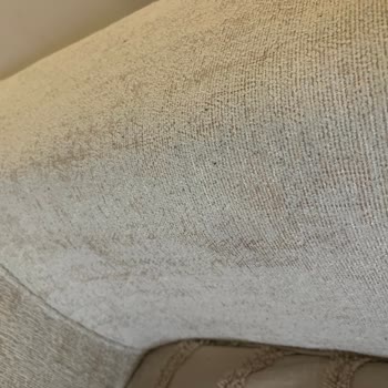 Mondi Home Rosida Koltuğunda Su Lekesi Ve Siyah Tüy Dökülmesi, Destek Hattı Çözüm Sunmuyor