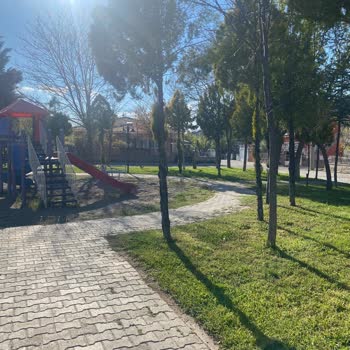 Akasya Parkındaki Bankların Geri Getirilmesi İçin Acil Talep
