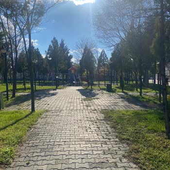 Akasya Parkındaki Bankların Geri Getirilmesi İçin Acil Talep