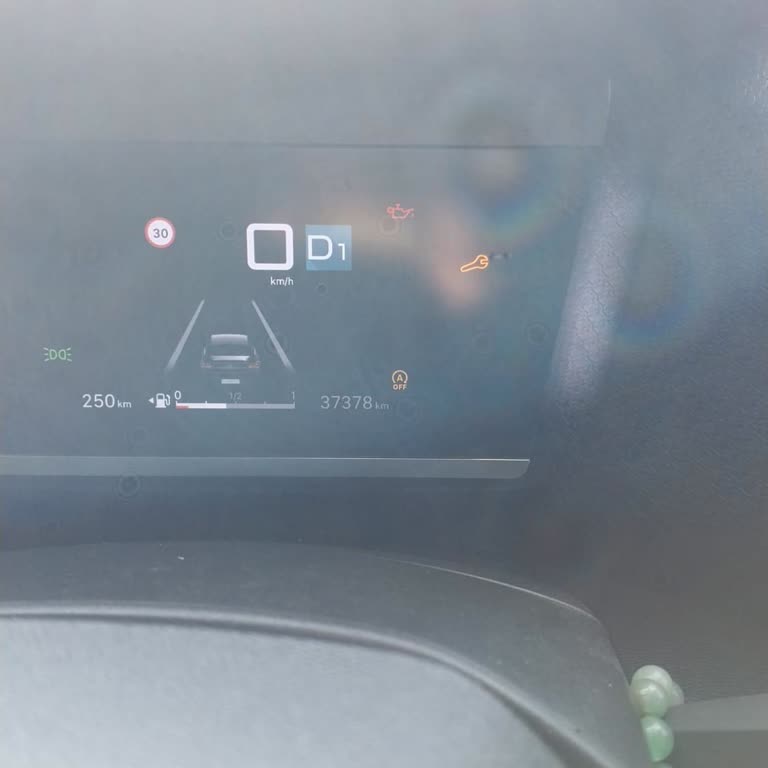 Citroen C4X Araçta Sürekli Yağ Eksiltme Hatası Ve Çözüm Bulunamaması