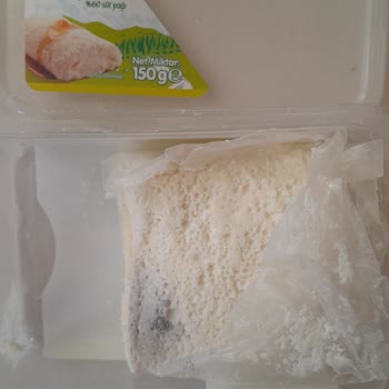 Afyon Ataköy Şok Şubesinde Kaymak Hızla Küflendi, Sağlık Endişesi Ve Para Kaybı