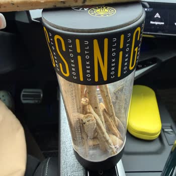 Kraker İçinde Kıl Bulunması