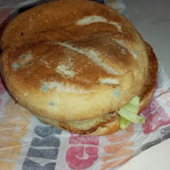 Burger King Güzelbahçe Şubesinde Küflü Ekmeği Olan Burger Hakkında Sağlık Endişesi Şikayeti
