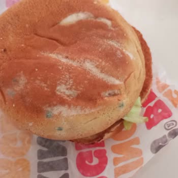 Burger King Delivered Moldy Burger and No Proper Response