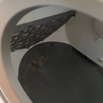 Kiwi Kedi Tuvaletinin Kirli Ve Eksik Servis Onarımı