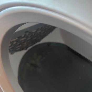 Kiwi Kedi Tuvaletinin Kirli Ve Eksik Servis Onarımı