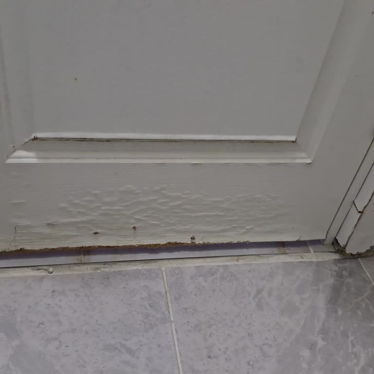 Türkiye Sigorta Deprem Hasarları Üstünkörü İncelenip Reddedildi