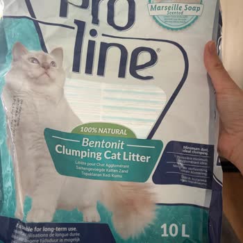 Düşük Toz İddiasına Rağmen Aşırı Tozlu Kedi Kumu
