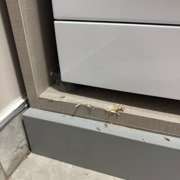 Kendi Kendine Düşen Ve Gürültülü Çalışan Arçelik Çamaşır Makinesi Ve Saygısız Servis Yaklaşımı