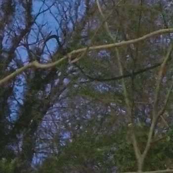 Kazı Çalışması Nedeniyle İnternet Kesintisi Mahalleyi Mağdur Etti