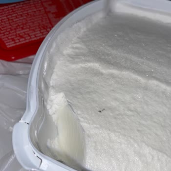 Algida Dondurmasının İçinde Böcek Bulunması Gıda Güvenliği Sorunu
