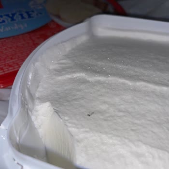 Algida Dondurmasının İçinde Böcek Bulunması Gıda Güvenliği Sorunu