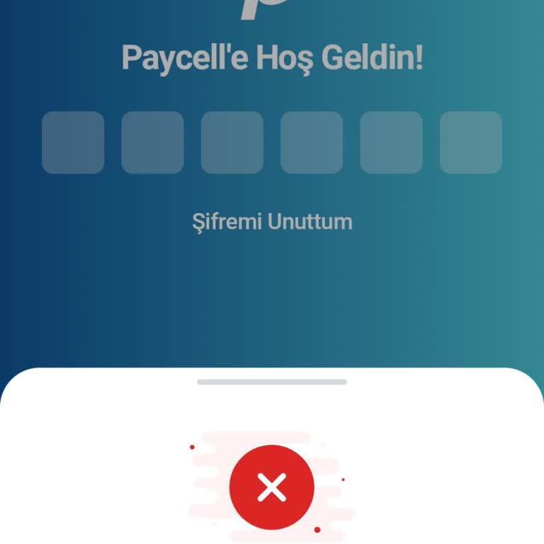 Güvenlik Nedeniyle Paycell Hesabıma Erişemiyorum Ve 14.700 TL Bakiyemi Görülemiyor