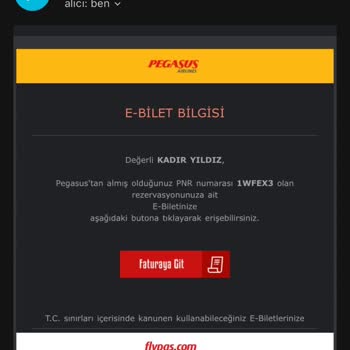 Pegasus'ta Sistem Hatası Yolcuyu Uçağa Giremedi Ve İade Reddi