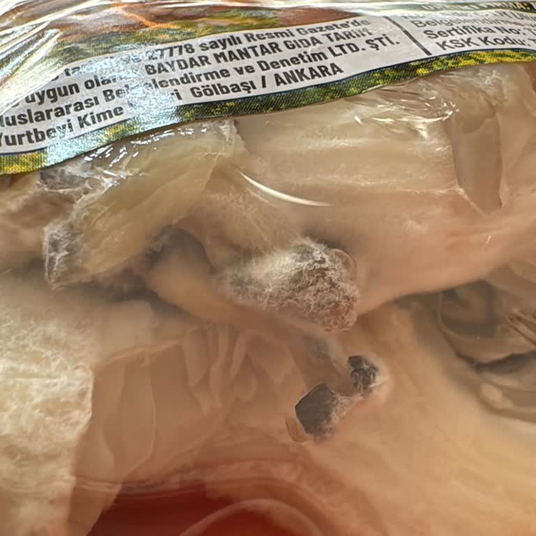 Migros Hemen Siparişinde Eksik Ve Çürük Mantar, Çözüm Bulunamayan Müşteri Hizmetleri