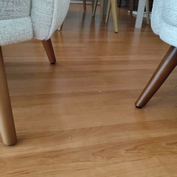 Yanlış Renk Berjer Ayakları Gönderildi, Açık Renk Ayakların Acilen Teslimi Gerekiyor