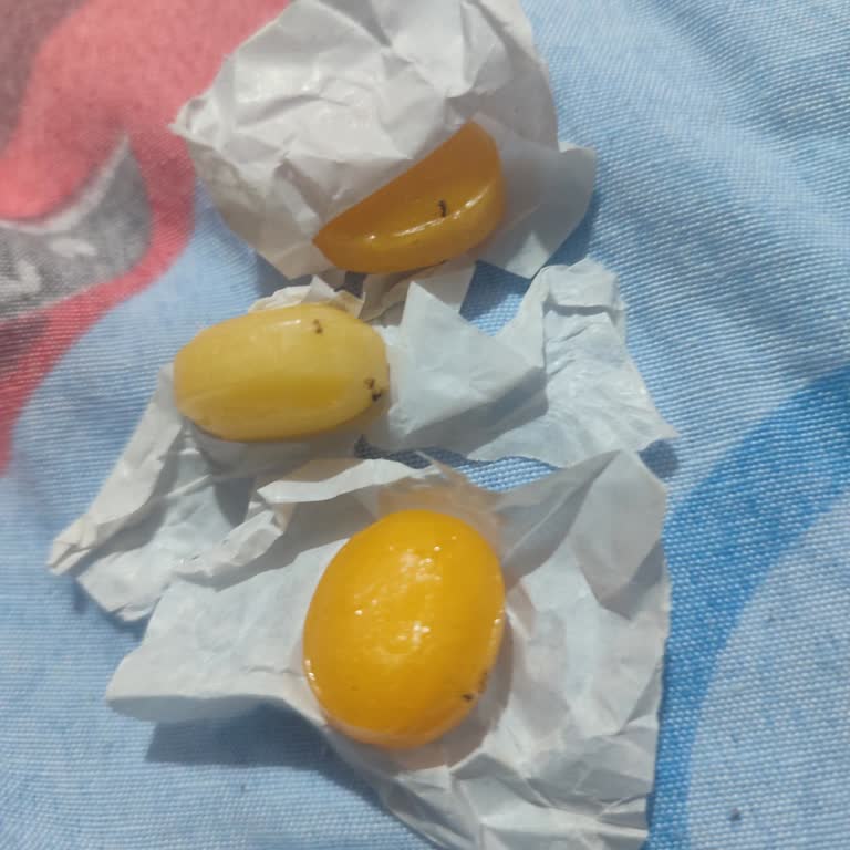 Olips Şekerinde Karınca Keşfi Ve Hijyen Şikayeti