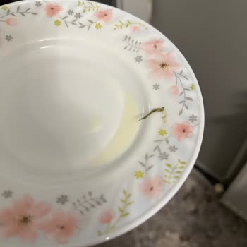 Bebeğin Mamasında Sert Yabancı Cisim Ve Güvenlik Endişesi