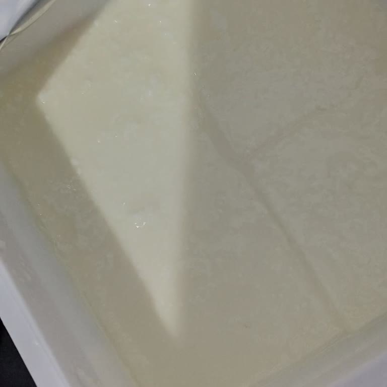 Küflü Peynir Satışı Fiş Sorunu Ve Değişim Reddi Şikayet