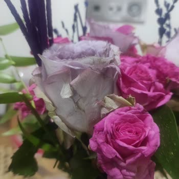 Canlı Görünmeyen Çiçekler: Sipariş Ve Görsel Arasındaki Fark