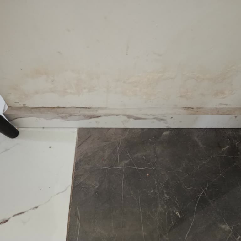 Su Sızdıran, Mutfak Dolabını Zarar Gören Ve Çalışmayan Bulaşık Makinesi İçin Anında İade Talebi